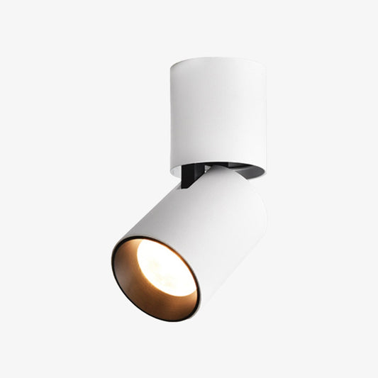 Zylinder Mit Verstellbaren LED-Strahlern – Flexibel Ausgerichtetes Licht Für Stilvolle Räume 1