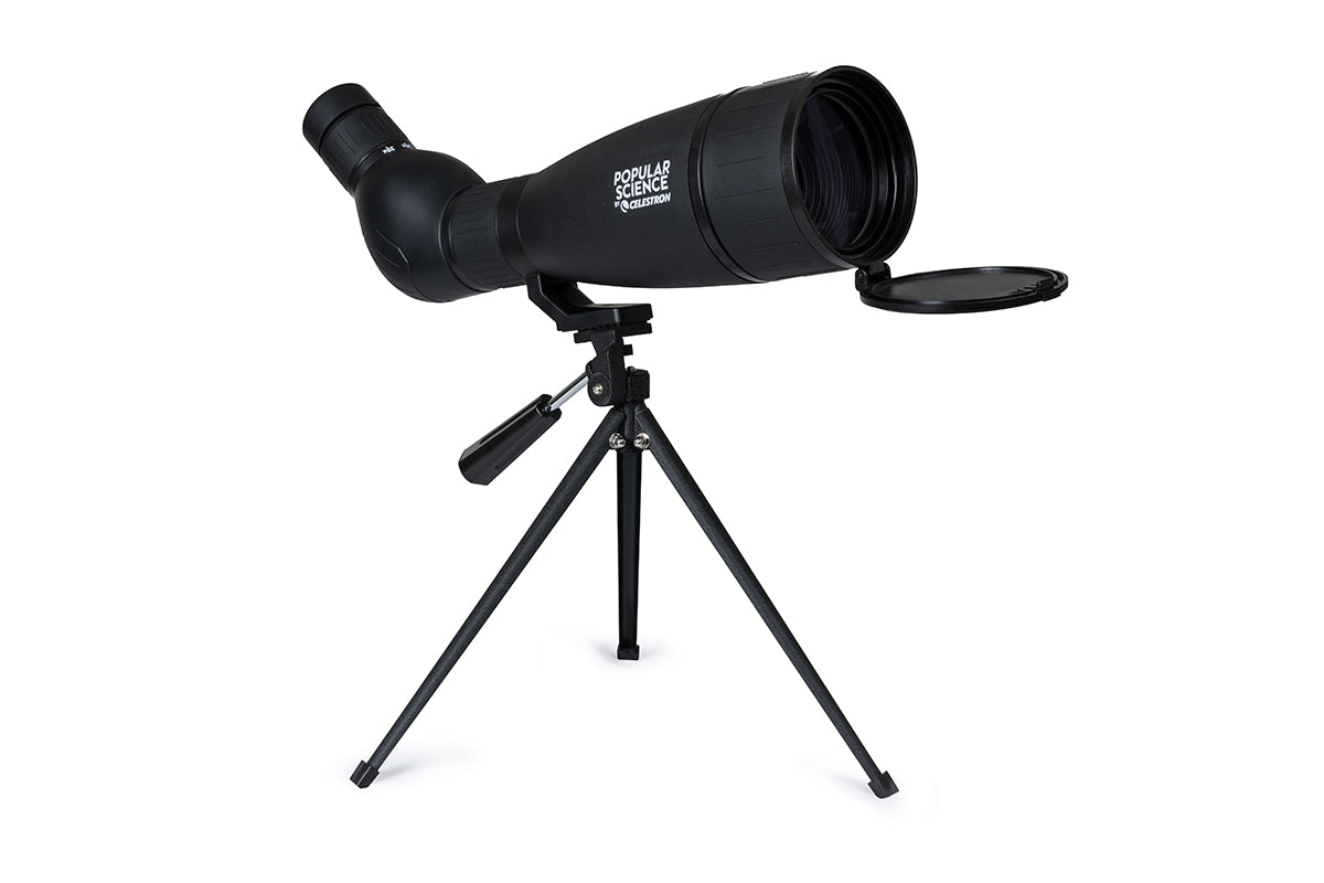 Celestron LandScout 20–60 x 80 mm Spektiv – Ideal Für Faszinierende Naturbeobachtungen 3