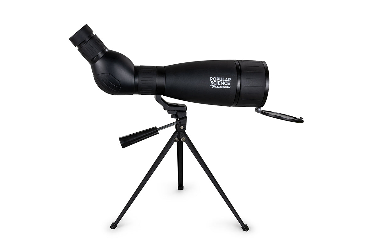 Celestron LandScout 20–60 x 80 mm Spektiv – Ideal Für Faszinierende Naturbeobachtungen 4