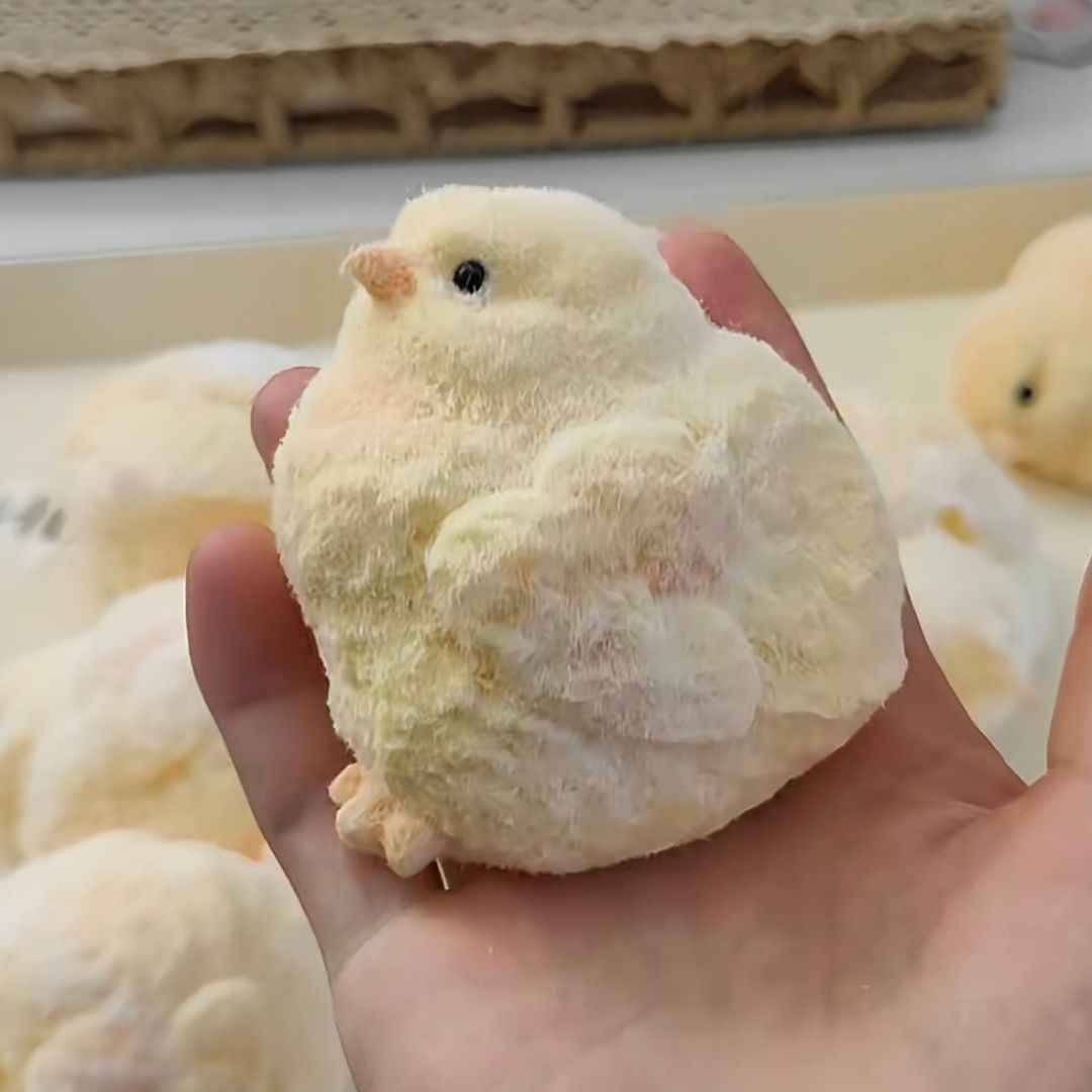 Chubby Chick Stressball – Niedlicher Begleiter Für Entspannung 3