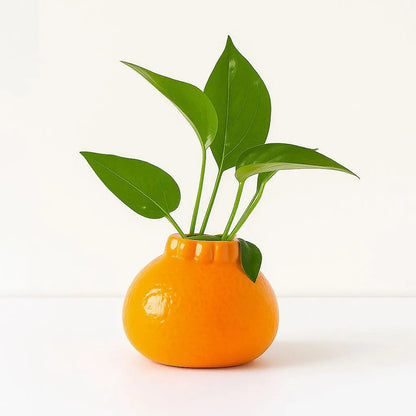 Cobb Citrus Burst Pflanzgefäß – Frische Akzente für Ihr Zuhause 0