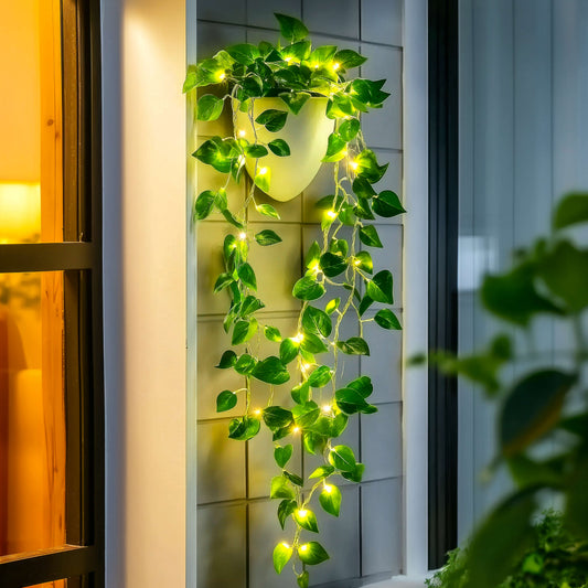 **Efeulichter** – Märchenhafte Atmosphäre mit LED-Beleuchtung 0