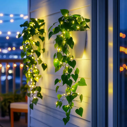 **Efeulichter** – Märchenhafte Atmosphäre mit LED-Beleuchtung 2