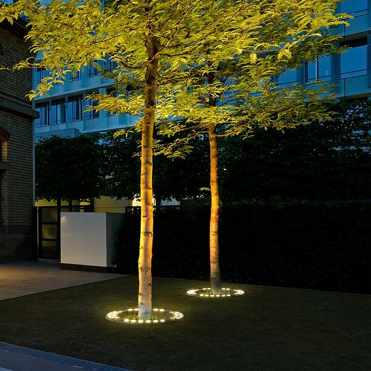 Eleganter Außenbaum-Spotlight – Stilvolle Akzente Für Ihren Garten 1