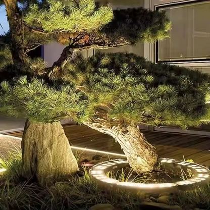 Eleganter Außenbaum-Spotlight – Stilvolle Akzente Für Ihren Garten 4