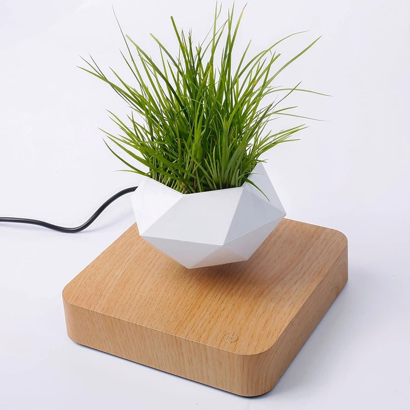 Magic Pot Schwimmender Blumentopf – Faszinierende Raumdekoration Mit Stil 2