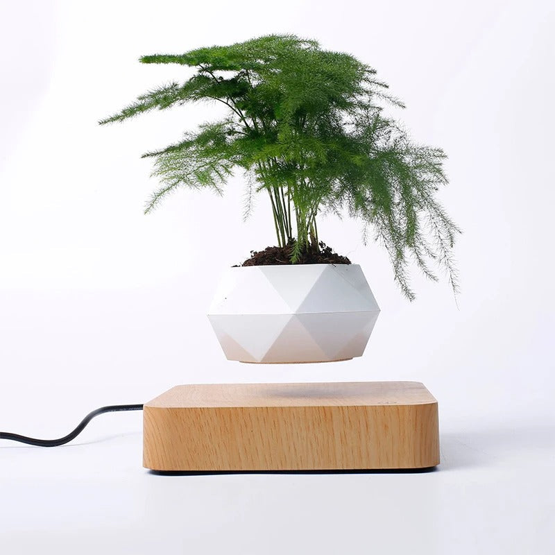 Magic Pot Schwimmender Blumentopf – Faszinierende Raumdekoration Mit Stil 3