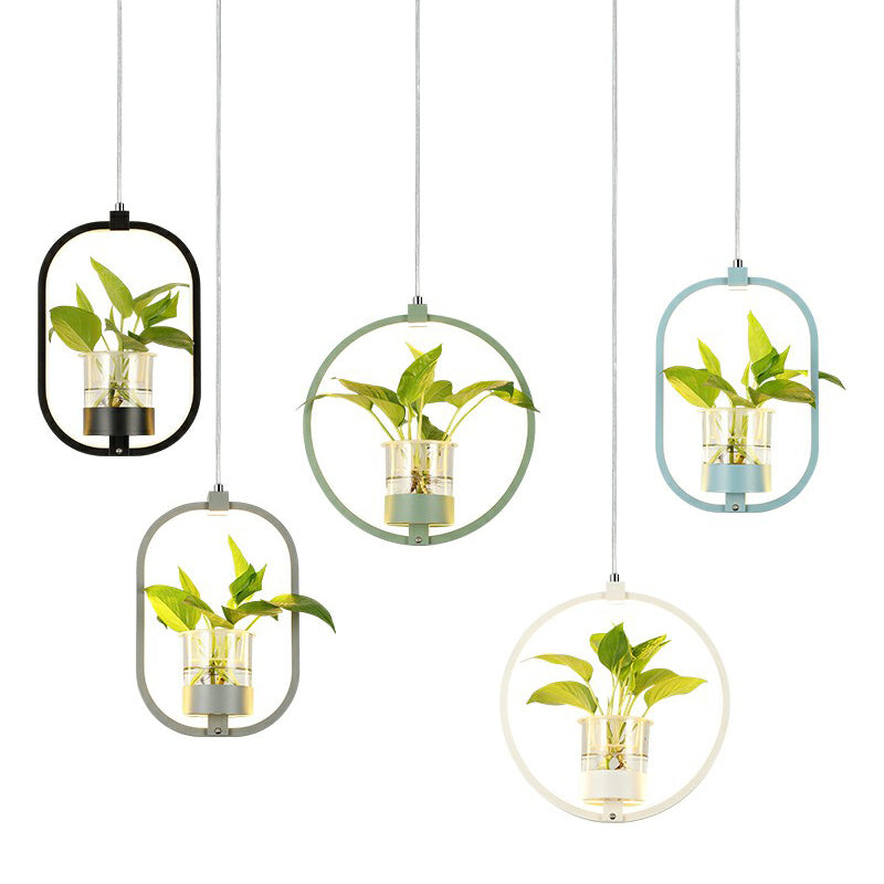 Nordische LED-Deckenpendelleuchte – Stilvolles Licht für Ihr Esszimmer 3