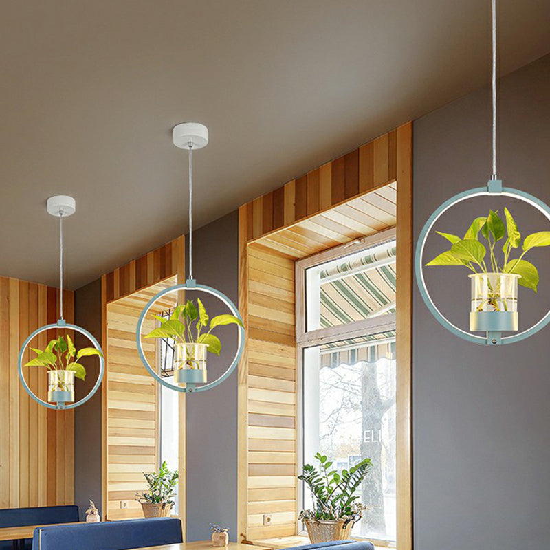 Nordische LED-Deckenpendelleuchte – Stilvolles Licht für Ihr Esszimmer 6
