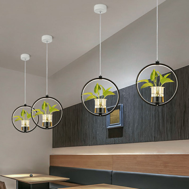 Nordische LED-Deckenpendelleuchte – Stilvolles Licht für Ihr Esszimmer 9