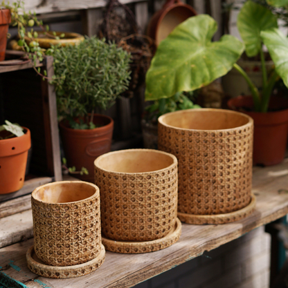 Pflanzkübel Aus Zement Mit Rattanstruktur – Elegante Präsentation Für Ihre Pflanzen 4