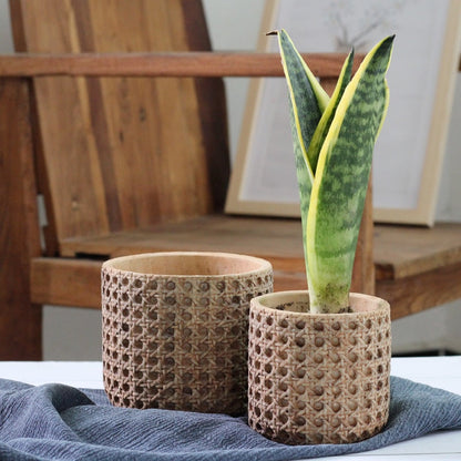 Pflanzkübel Aus Zement Mit Rattanstruktur – Elegante Präsentation Für Ihre Pflanzen 5