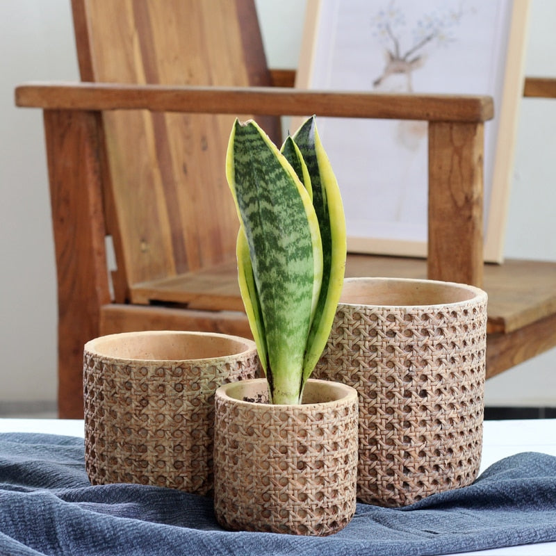 Pflanzkübel Aus Zement Mit Rattanstruktur – Elegante Präsentation Für Ihre Pflanzen 6