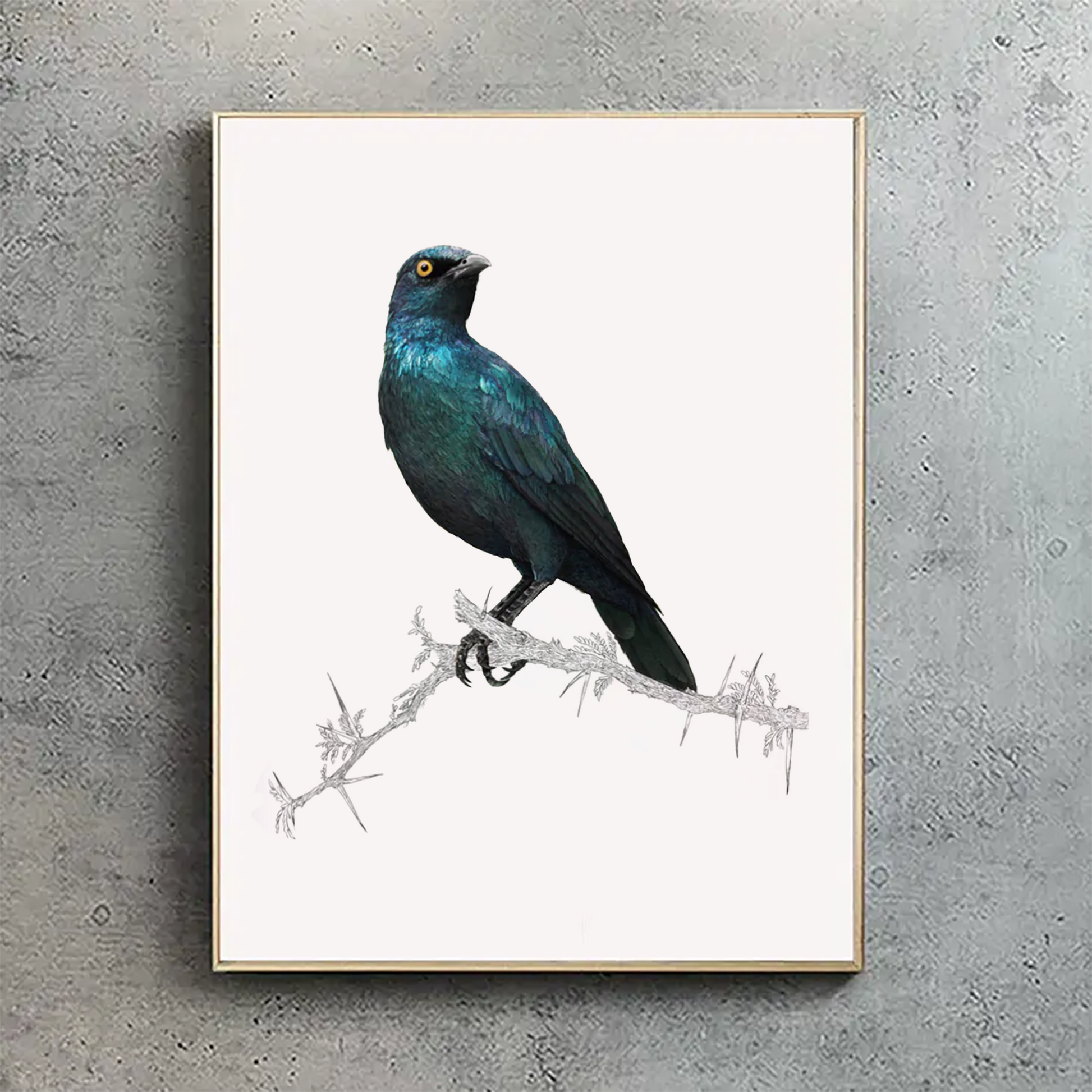 Umhang Glossy Starling – Zeitgenössische Tierillustrationen für Ihr Zuhause 1