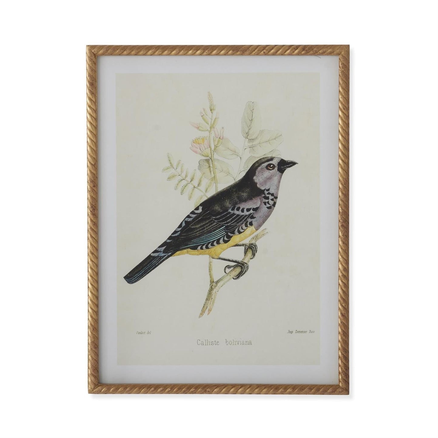 Vogelbild Mit Gedrehtem Rahmen – Elegante Wanddekoration Für Stilvolle Akzente 0