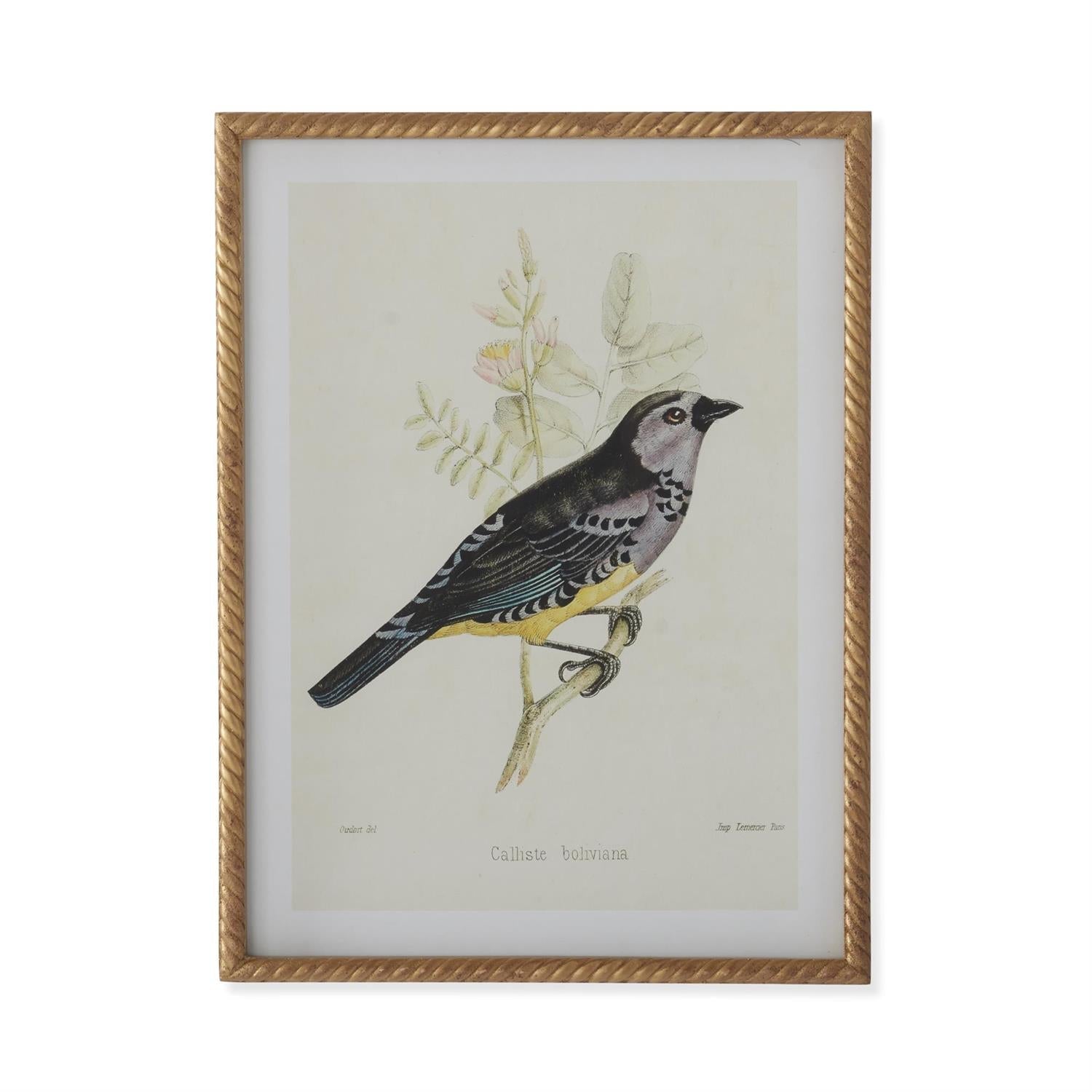 Vogelbild Mit Gedrehtem Rahmen – Elegante Wanddekoration Für Stilvolle Akzente 0