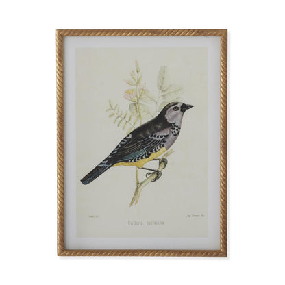 Vogelbild Mit Gedrehtem Rahmen – Elegante Wanddekoration Für Stilvolle Akzente 0