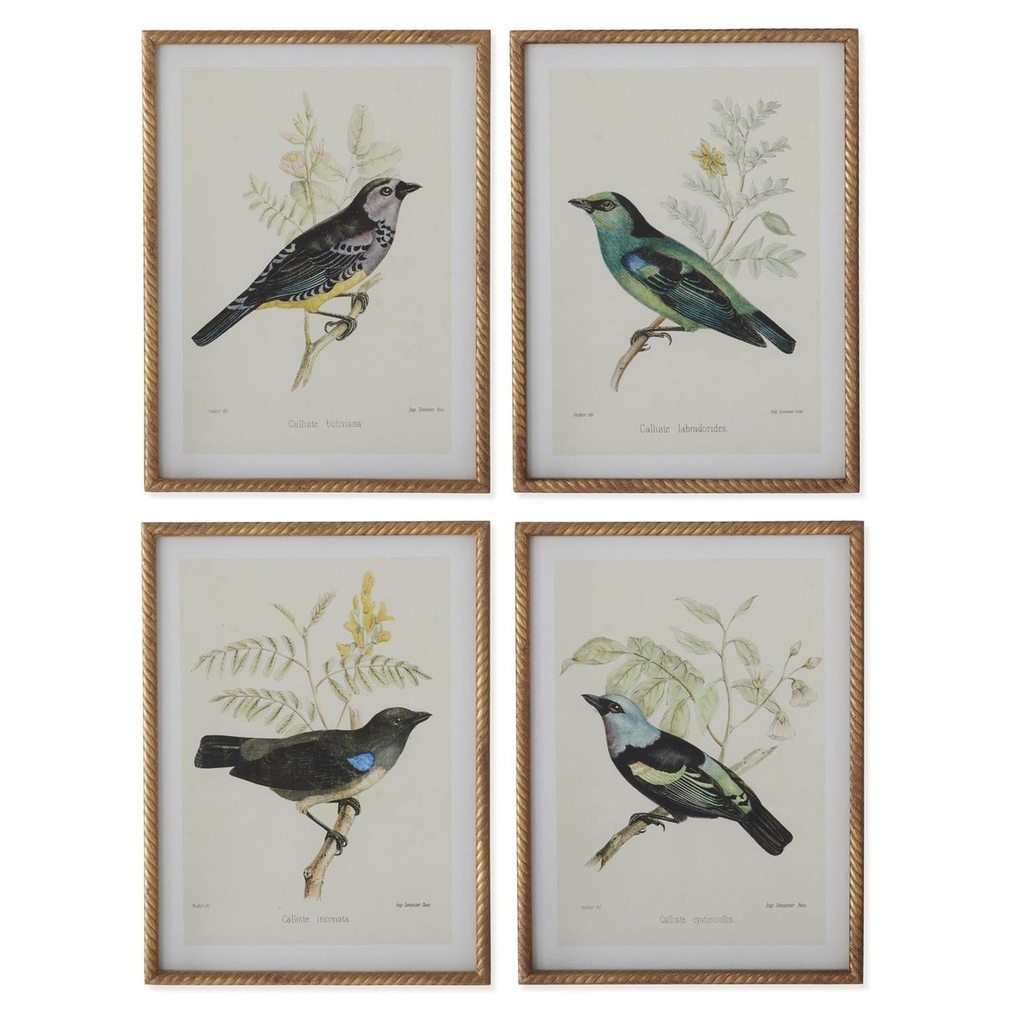 Vogelbild Mit Gedrehtem Rahmen – Elegante Wanddekoration Für Stilvolle Akzente 1