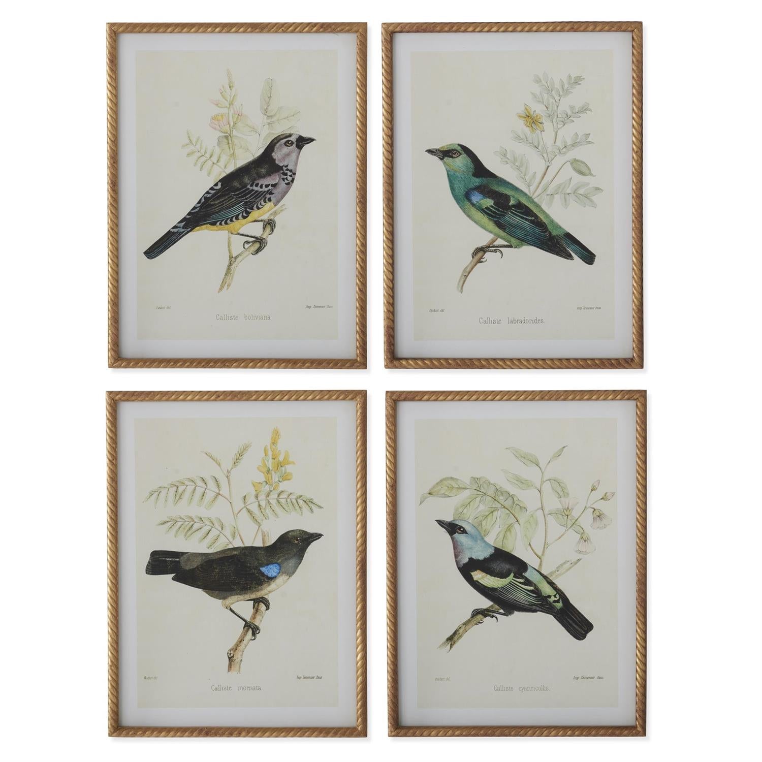 Vogelbild Mit Gedrehtem Rahmen – Elegante Wanddekoration Für Stilvolle Akzente 1