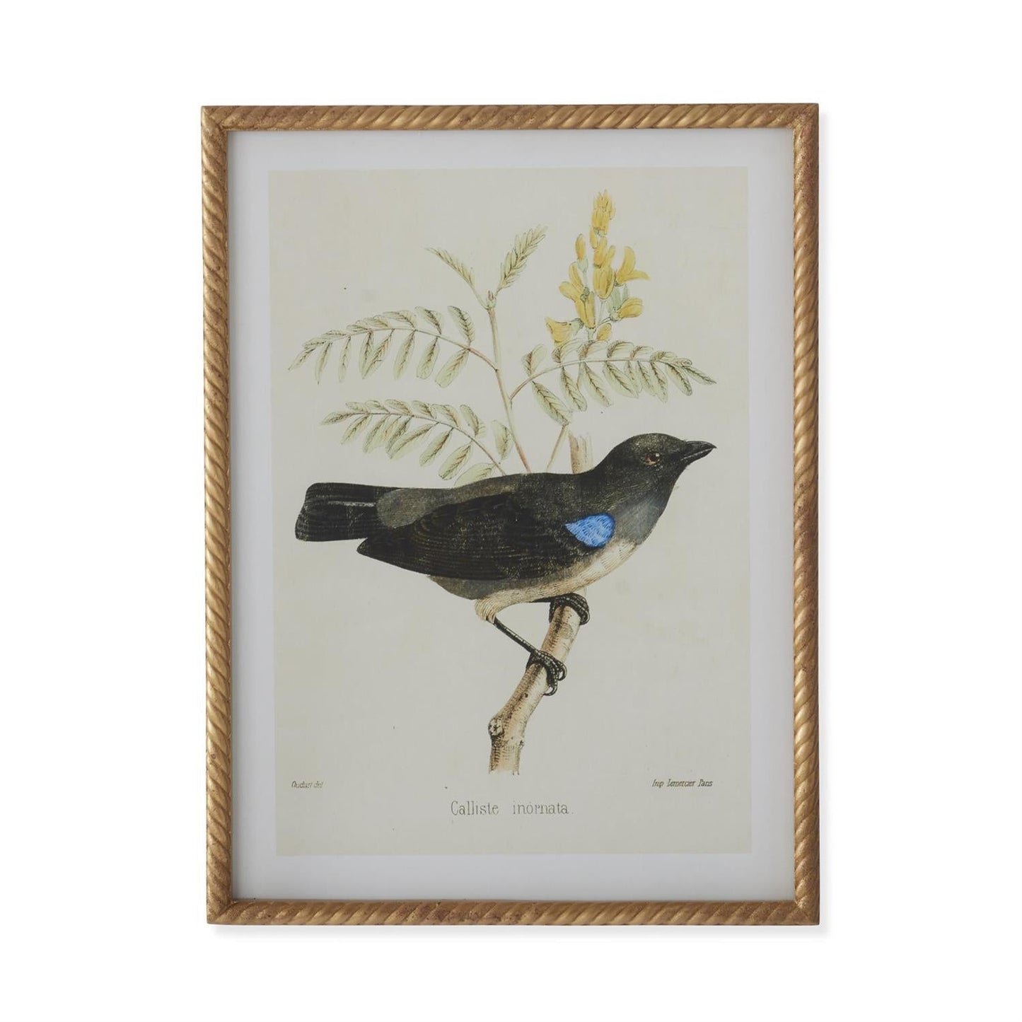 Vogelbild Mit Gedrehtem Rahmen – Elegante Wanddekoration Für Stilvolle Akzente 3