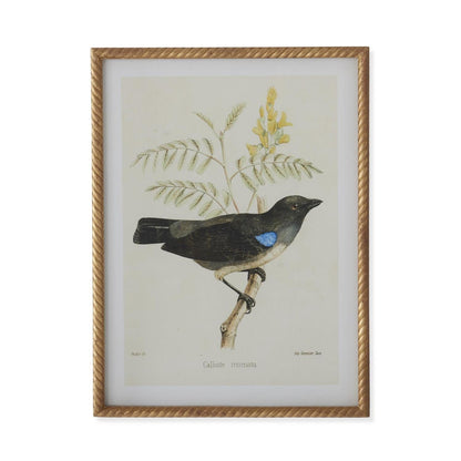 Vogelbild Mit Gedrehtem Rahmen – Elegante Wanddekoration Für Stilvolle Akzente 3