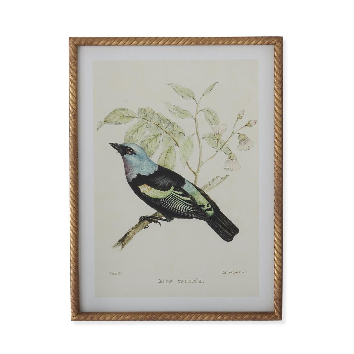 Vogelbild Mit Gedrehtem Rahmen – Elegante Wanddekoration Für Stilvolle Akzente 4