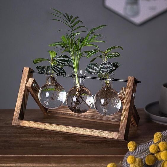 <strong>Vintage Anzuchtständer Aus Holz Und Glas</strong> – <strong>Elegante Pflanzendekoration Für Ihr Zuhause</strong> 2