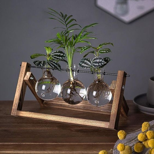 <strong>Vintage Anzuchtständer Aus Holz Und Glas</strong> – <strong>Elegante Pflanzendekoration Für Ihr Zuhause</strong> 2