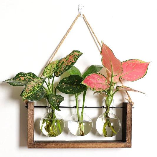 <strong>Vintage Anzuchtständer Aus Holz Und Glas</strong> – <strong>Elegante Pflanzendekoration Für Ihr Zuhause</strong> 3