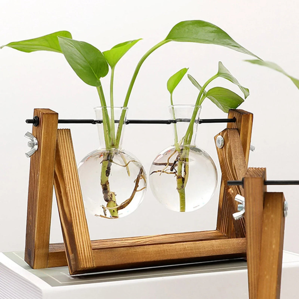 <strong>Vintage Anzuchtständer Aus Holz Und Glas</strong> – <strong>Elegante Pflanzendekoration Für Ihr Zuhause</strong> 5