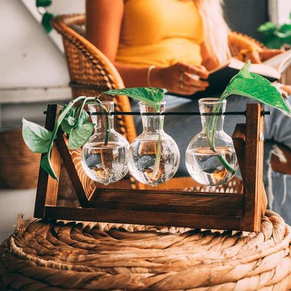 <strong>Vintage Anzuchtständer Aus Holz Und Glas</strong> – <strong>Elegante Pflanzendekoration Für Ihr Zuhause</strong> 7